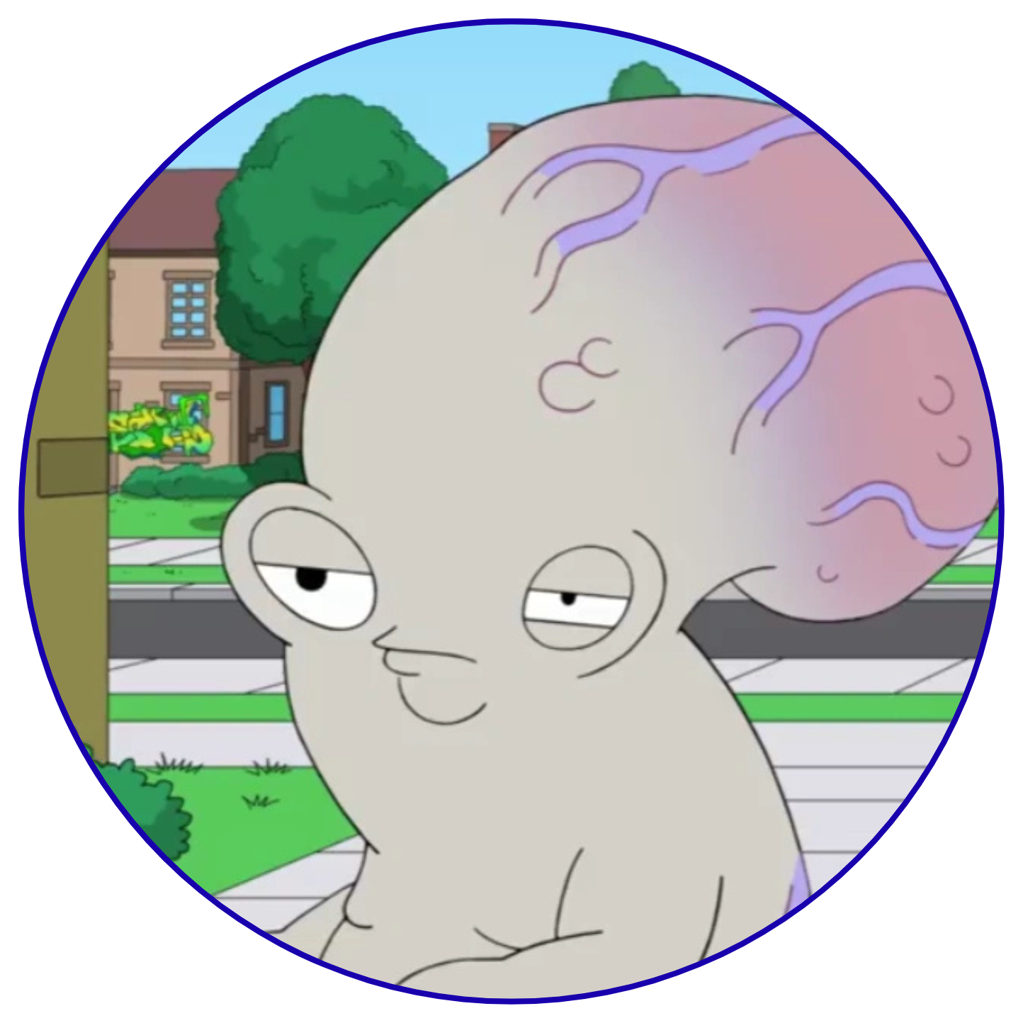 Rogu